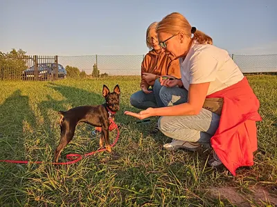 LuckyDog Pozytywne Szkolenie Psów